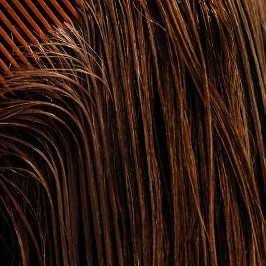Signature Head Spa membership at Simply Serene Studio in Spring Hill, FL